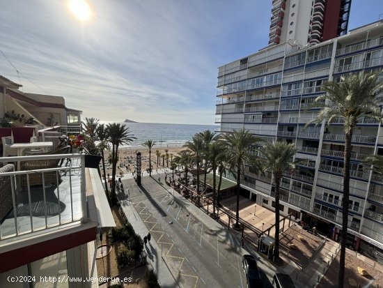 Piso en alquiler  en Benidorm - Alicante