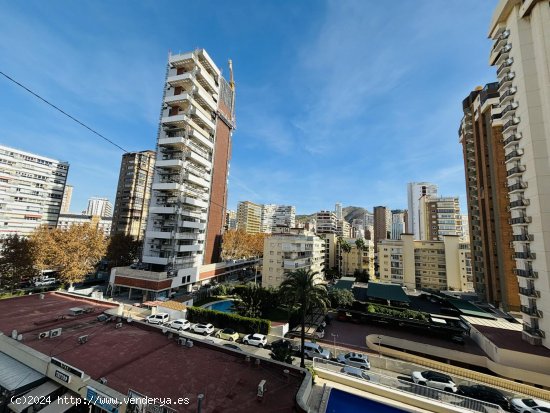 Piso en alquiler  en Benidorm - Alicante