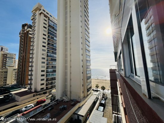 Piso en alquiler  en Benidorm - Alicante