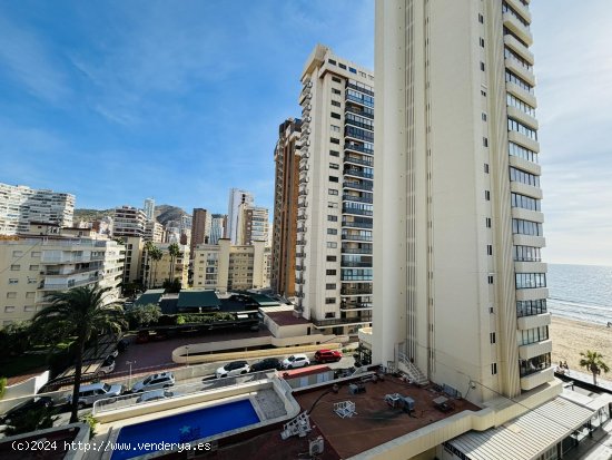 Piso en alquiler  en Benidorm - Alicante