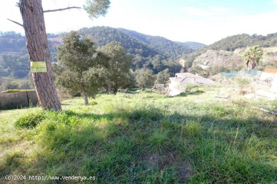 Suelo urbano en venta  en Calonge - Girona