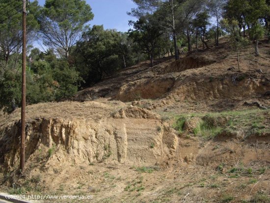 Suelo urbano en venta  en Calonge - Girona