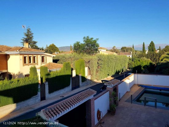 Gran Casa con Piscina - Albolote