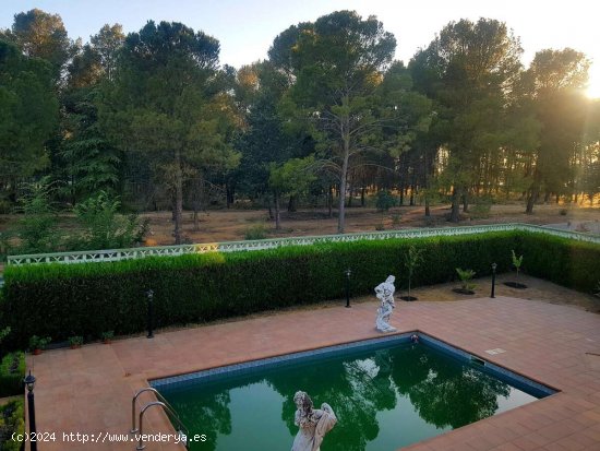 Gran Casa con Piscina - Albolote