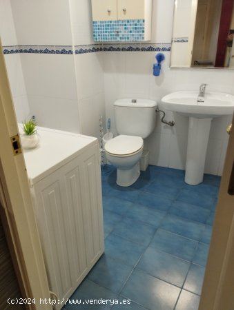 Apartamento en Alquiler en Murcia Murcia SAN MIGUEL