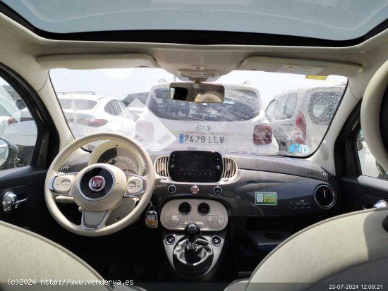 Fiat 500 fi  1.0 gas 69cv hybrid - San Vicente del Raspeig