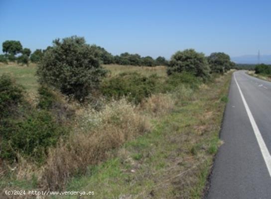 FINCA RUSTICA en venta en SERREJON