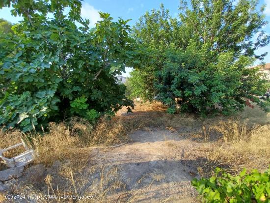 TERRENO URBANO EN VENTA EN VENDRELL URB. MAS BORRAS - TARRAGONA