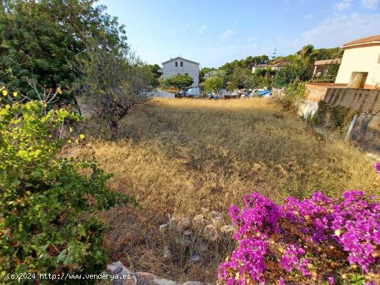 TERRENO URBANO EN VENTA EN VENDRELL URB. MAS BORRAS - TARRAGONA