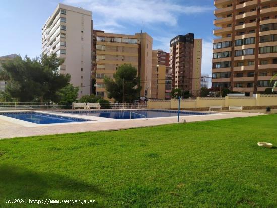 Totalmente reformado apartamento con 2 dormitorios en zona Rincon de Loix - ALICANTE