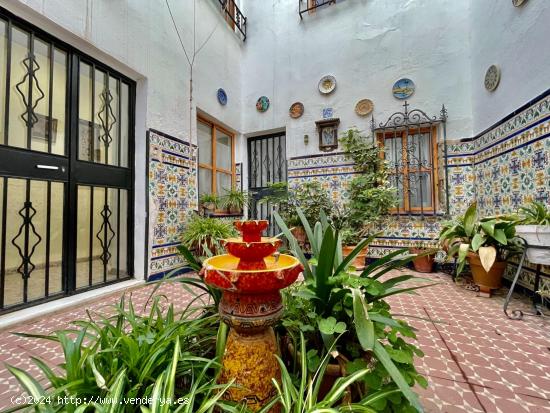 CASA SINGULAR JUNTO AL PALACIO DE VIANA - CORDOBA