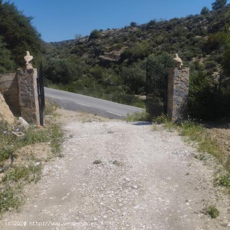 URRÁCAL ( ALMERÍA ) . CASA RURAL CON TERRENO. - ALMERIA