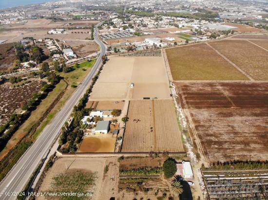 FINCA RÚSTICA CON ARBOLES FRUTALES Y CUADRA DE CABALLOS - CADIZ