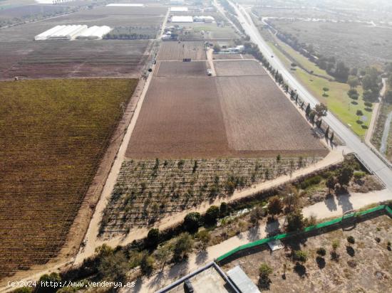 FINCA RÚSTICA CON ARBOLES FRUTALES Y CUADRA DE CABALLOS - CADIZ