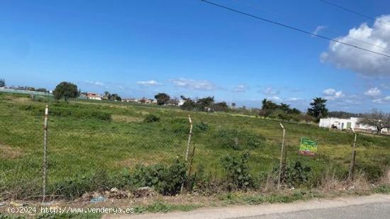 MAGNIFICA PARCELA EN CAMINO PISTA DE MONTIJO, CHIPIONA - CADIZ