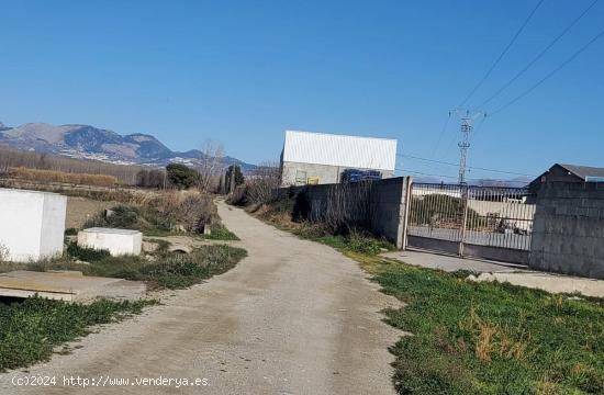 TENEMOS LA FINCA QUE BUSCAS. - GRANADA