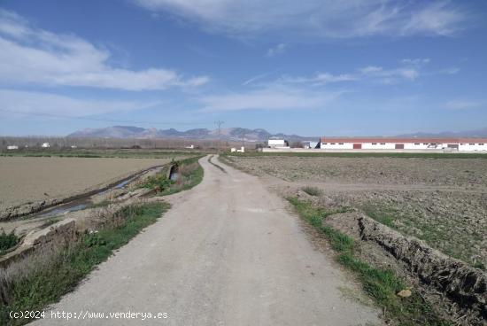 TENEMOS LA FINCA QUE BUSCAS. - GRANADA