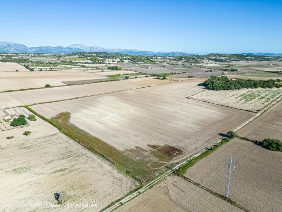 Terreno de 42.618m2 con Proyecto y Licencia de Obra aprobados para casa de 204 m2 - BALEARES