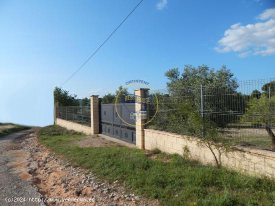 REFUGIO CON  BUENA PARCELA EN LA  SIERRA DE MARIOLA (ALICANTE) - ALICANTE