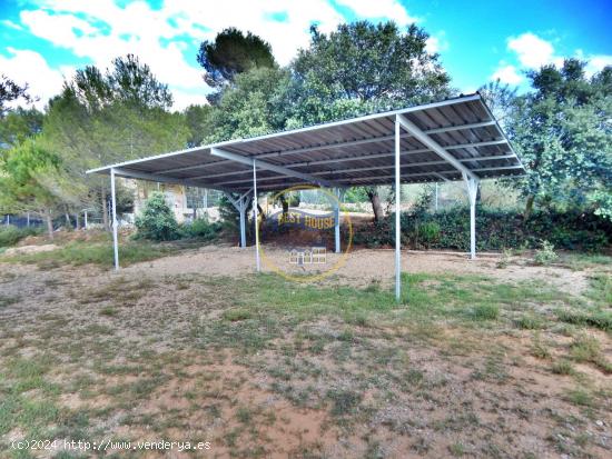 REFUGIO CON  BUENA PARCELA EN LA  SIERRA DE MARIOLA (ALICANTE) - ALICANTE