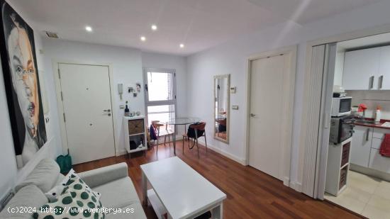 Apartamento de ensueño en la zona Alameda - CADIZ