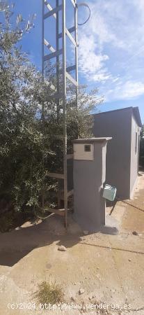 Venta de parcela rustica + caseta con luz - CASTELLON