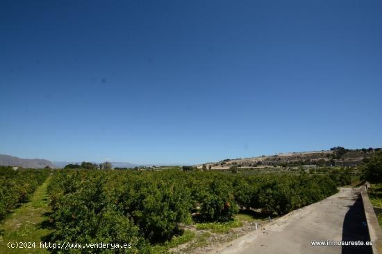 Finca rústica en Jacarilla, 40.000 m2. de superficie. - ALICANTE