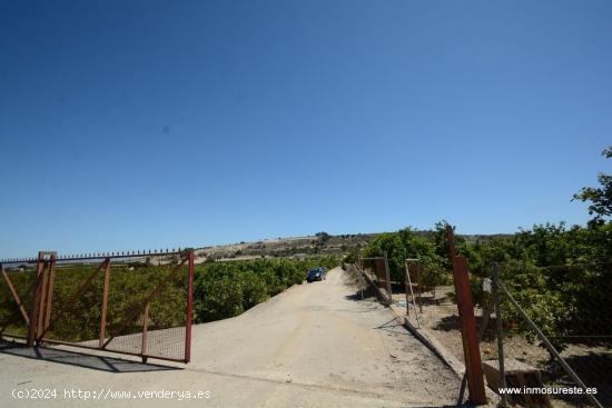 Finca rústica en Jacarilla, 40.000 m2. de superficie. - ALICANTE