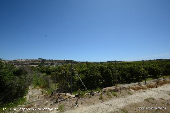 Finca rústica en Jacarilla, 40.000 m2. de superficie. - ALICANTE