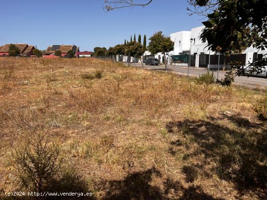 Suelo urbano para 38 viviendas INDEPENDIENTES y/o PAREADAS con más de 400 m2 cada parcela - SEVILLA