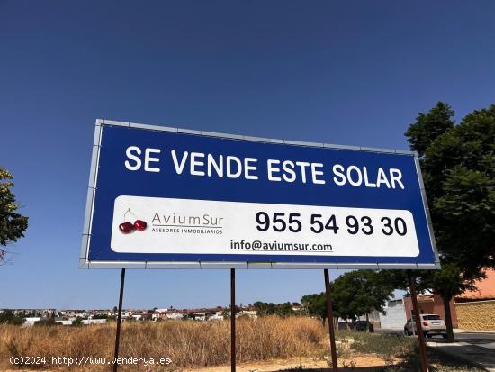 SUELO FINALISTA EN MAIRENA DEL ALJARAFE - 4.678 m2 - SEVILLA