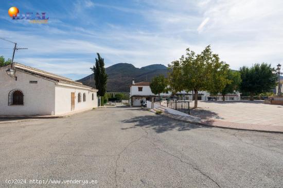  FINCA RUSTICA EN CAPARACENA - GRANADA 