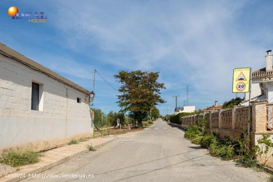 FINCA RUSTICA EN CAPARACENA - GRANADA