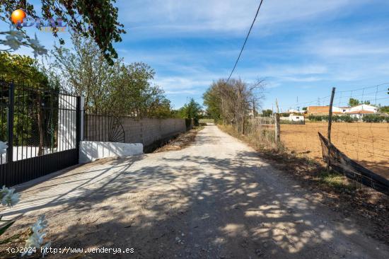 FINCA RUSTICA EN CAPARACENA - GRANADA