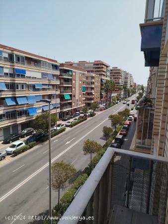 Apartamento Reformado en Torrevieja - Zona Acequion con Vistas Despejadas - ALICANTE