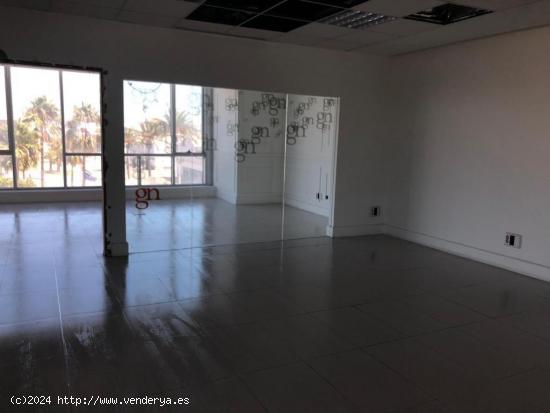 OFICINAS EN VENTA EN CADIZ - CADIZ