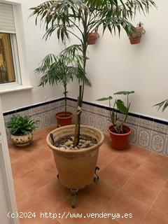 GRAN VIVIENDA EN EL CENTRO CON DOS PATIOS - CADIZ