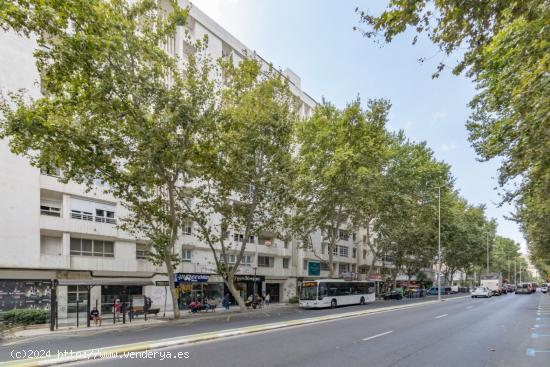  Piso con garaje en el mismo edificio en la vía más importante de la ciudad, Paseo Alfonso XIII - M 