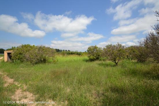 Se Vende en Sant Jaume d'Enveja - TARRAGONA