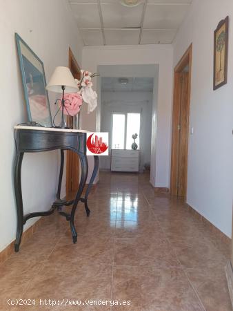 Finca Rústica con Vivienda en Venta Perín - MURCIA