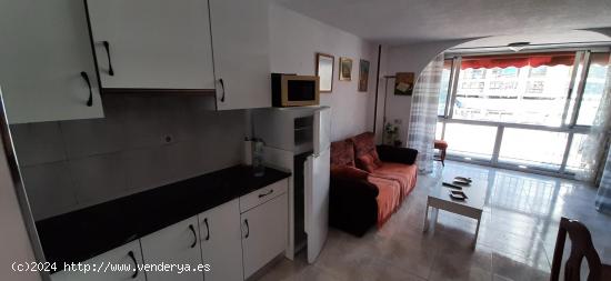 Apartamento en plaza triangular de Benidorm, Levante www.inmobiliarialesdunes.com - ALICANTE