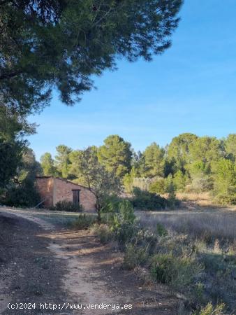 Se vende terreno - TARRAGONA