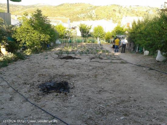 Parcela urbana de uso residencial en Villanueva de Tapia - MALAGA