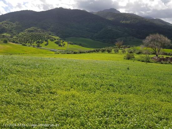 VENTA PARCELA CON CASA. ZAHARA DE LA SIERRA - CADIZ