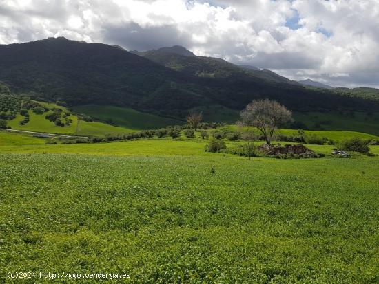 VENTA PARCELA CON CASA. ZAHARA DE LA SIERRA - CADIZ