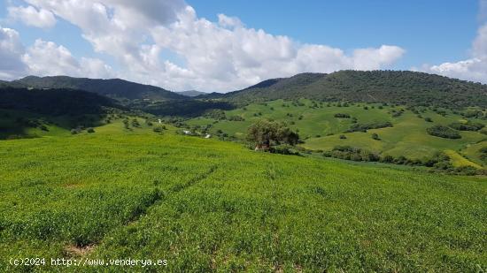 VENTA PARCELA CON CASA. ZAHARA DE LA SIERRA - CADIZ