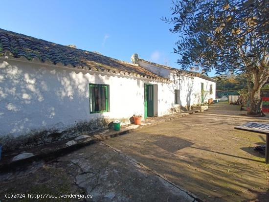 VENTA FINCA RÚSTICA EN LOS ALREDEDORES DE UBRIQUE - CADIZ