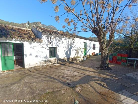 VENTA FINCA RÚSTICA EN LOS ALREDEDORES DE UBRIQUE - CADIZ