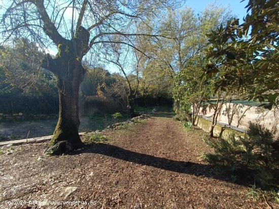 VENTA FINCA RÚSTICA EN LOS ALREDEDORES DE UBRIQUE - CADIZ