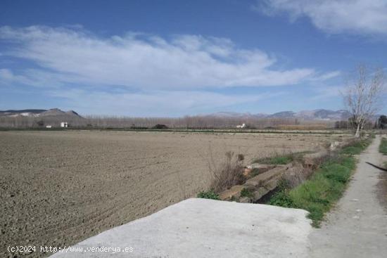  Finca Rústica - GRANADA 